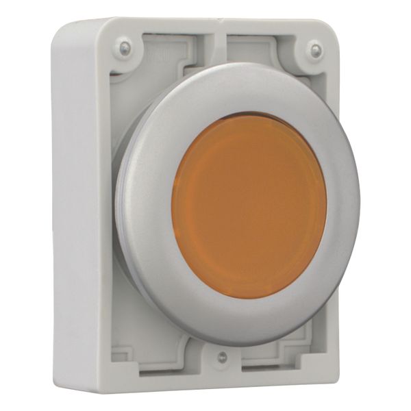 Illuminated pushbutton actuator, RMQ-Titan, Flat, momentary, orange, Blank, Metal bezel image 7