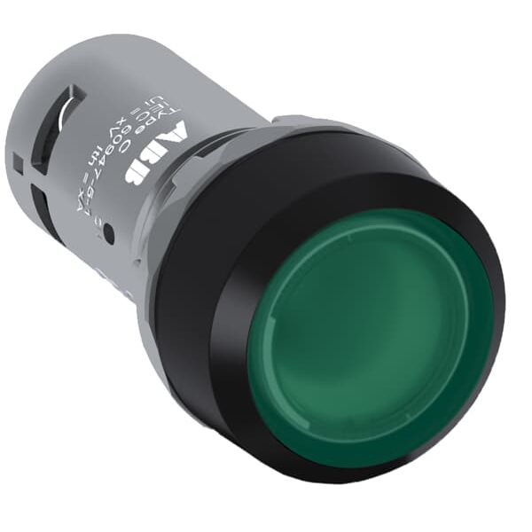 CP2-13G-10 Pushbutton image 1