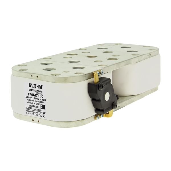 FUSE 3000A 660V 24BKN/60 AR image 12