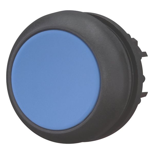 Pushbutton, RMQ-Titan, Flat, maintained, Blue, Blank, Bezel: black image 4