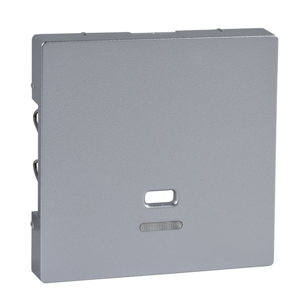 Central plate with indicator window for pull-cord switch, aluminium, System M image 3