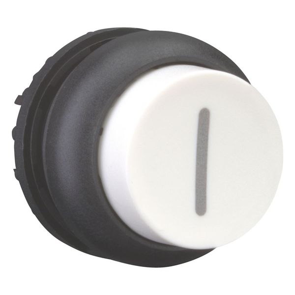 Pushbutton, RMQ-Titan, Extended, maintained, White, inscribed, Bezel: black image 13