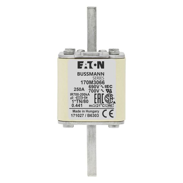 Fuse-link, high speed, 250 A, AC 690 V, compact DIN 1, 45 x 58 x 104 mm, aR, DIN, IEC, single indicator image 6