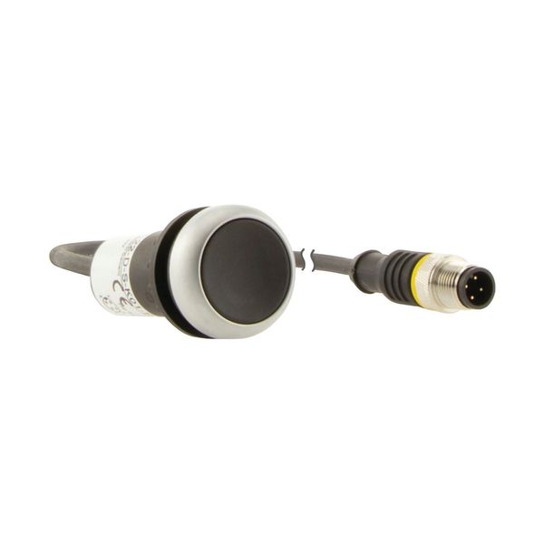 Pushbutton, classic, flat, maintained, 1 N/C, black, cable (black) with m12a plug, 4 pole, 0.2 m image 10