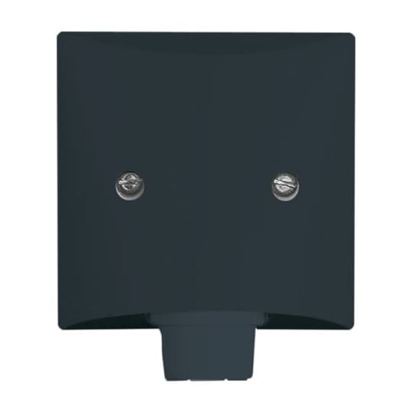 2138-35 CoverPlates (partly incl. Insert) Flush-mounted, water-protected, special connecting devices Anthracite image 3