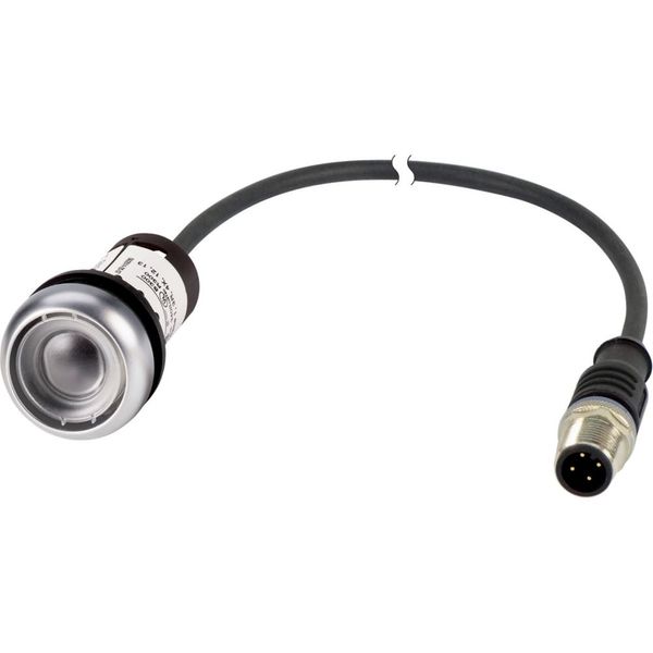 Pushbutton, Flat, momentary, 1 N/O, Cable (black) with M12A plug, 4 pole, 1 m, Without button plate, Bezel: titanium image 4