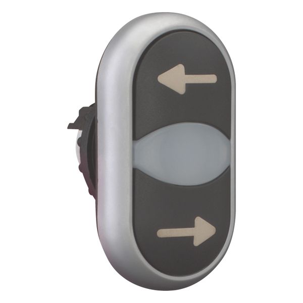 Double actuator pushbutton, RMQ-Titan, Actuators and indicator lights non-flush, momentary, White lens, black, black, inscribed, Bezel: titanium, arro image 8