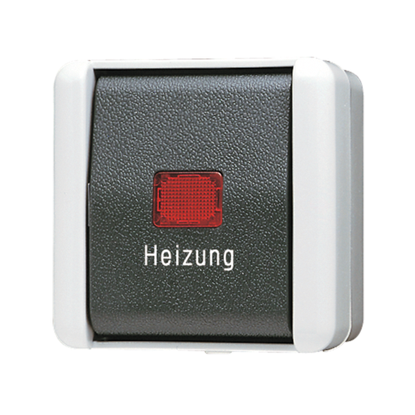 1-gang switch "Heizung" 10 AX / 250 V ~ 806HW image 1