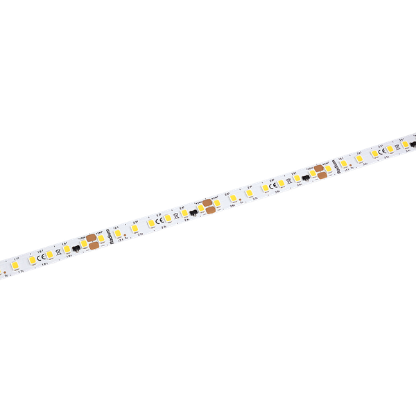 LED Star Strip 2200, LED STRIP 2200 S 830/24V IND image 2