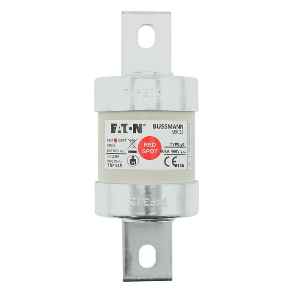 Fuse-link, LV, 315 A, AC 660 V, DC 460 V, BS88/B3, 53 x 137 mm, gL/gG, BS image 9