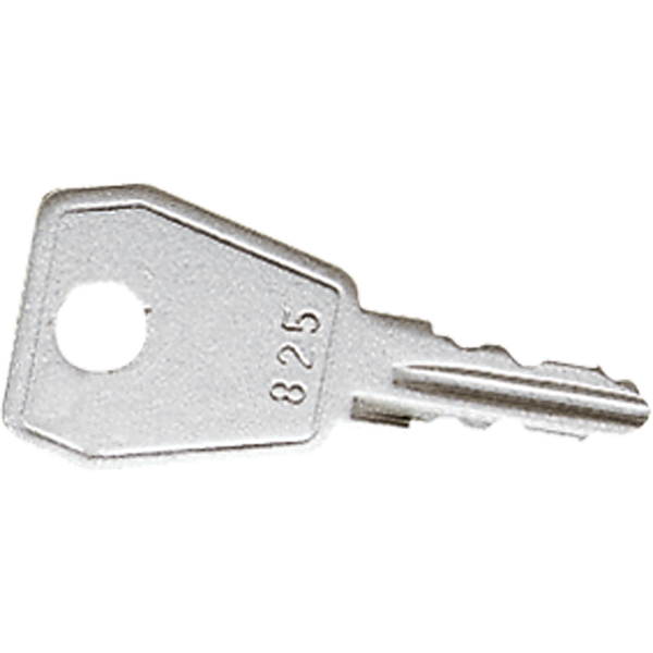 Spare key for all hinged lids with safe. 813SL image 1
