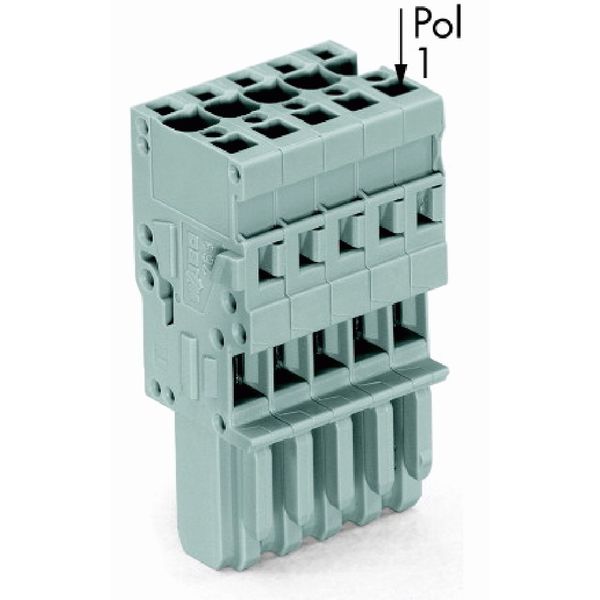 1-conductor female connector CAGE CLAMP® 4 mm² gray image 1