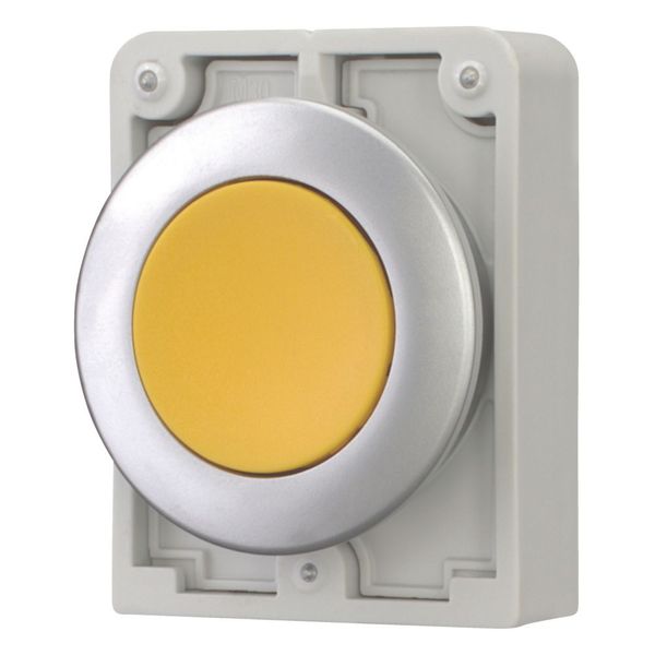 Pushbutton, RMQ-Titan, Flat, momentary, yellow, Blank, Metal bezel image 12