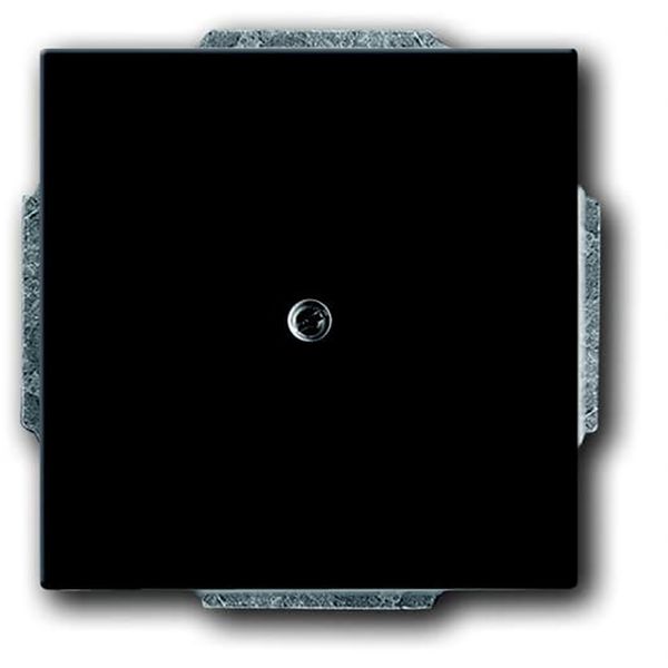 1749-885 CoverPlates (partly incl. Insert) future®, Busch-axcent®, carat® black matt image 1