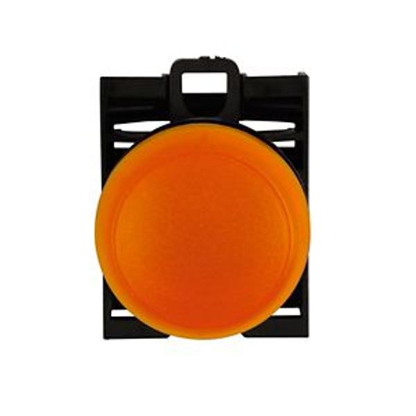 Indicator light, RMQ-Titan, Flat, orange image 8