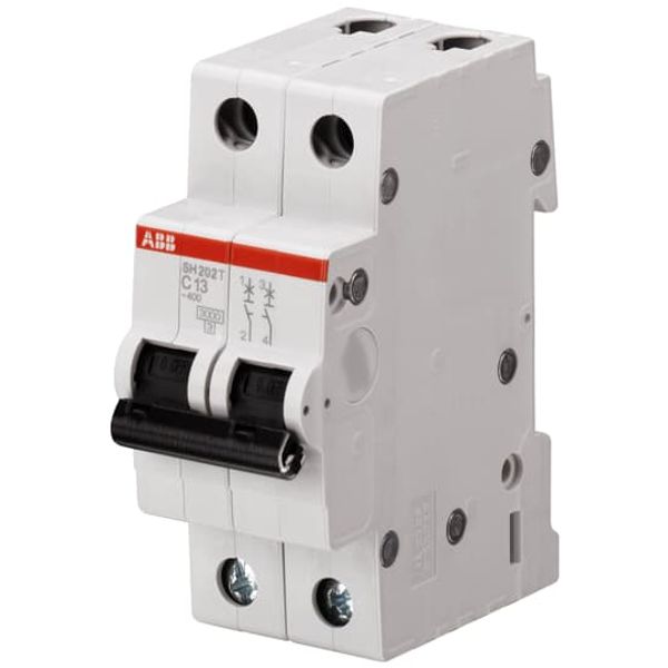 SH202T-C20 DYSBE Miniature Circuit Breaker - 2P - C - 20 A image 1