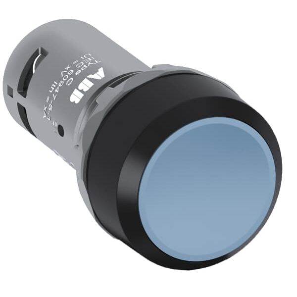 CP1-10W-10 Pushbutton image 7