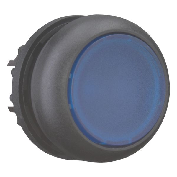 Illuminated pushbutton actuator, RMQ-Titan, Flush, momentary, Blue, Blank, Bezel: black image 8
