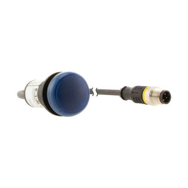Indicator light, Flat, Cable (black) with M12A plug, 4 pole, 0.2 m, Lens Blue, LED Blue, 24 V AC/DC image 10