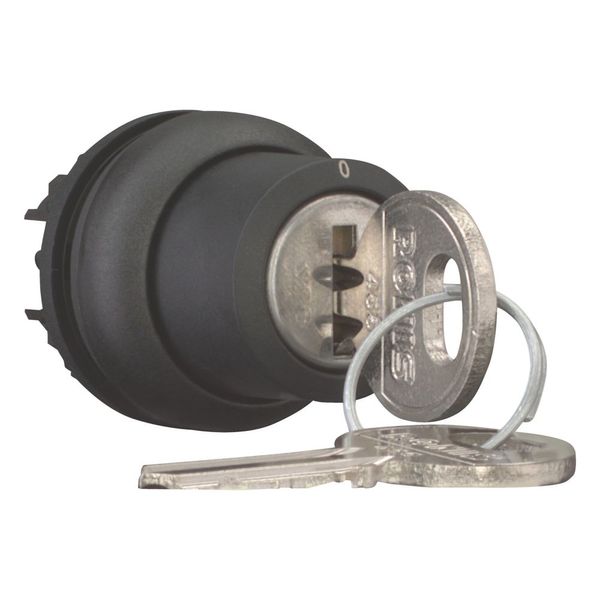 Key-operated actuator, momentary, 2 positions, Ronis 455, Key withdrawable: 0, Bezel: black image 13