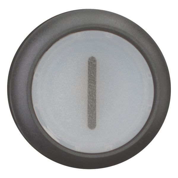 Illuminated pushbutton actuator, RMQ-Titan, Flush, maintained, White, inscribed 1, Bezel: black image 11