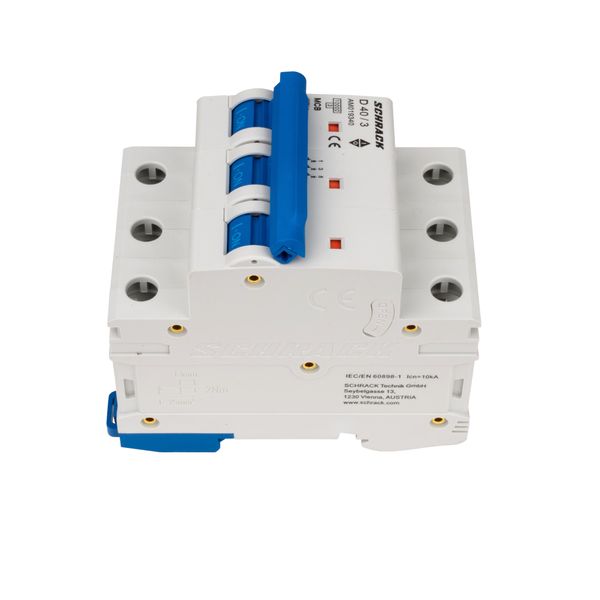 Miniature Circuit Breaker (MCB) AMPARO 10kA, D 40A, 3-pole image 10