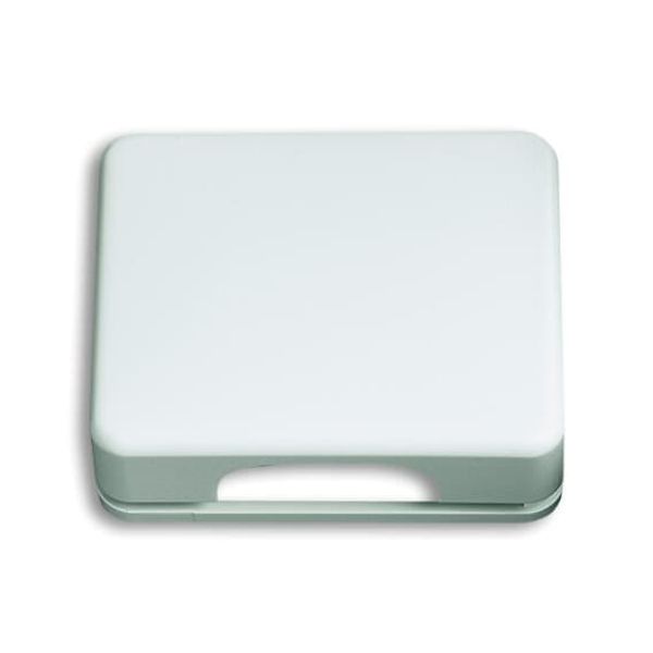 1766-24G CoverPlates (partly incl. Insert) carat® Studio white image 4