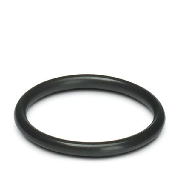 SACC-DSI-M12FS-SEAL - Sealing ring image 1