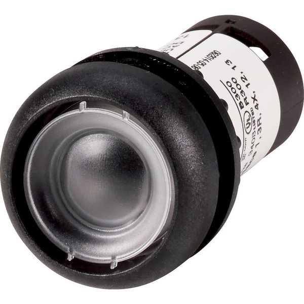 Pushbutton, Flat, momentary, 1 N/O, Screw connection, Without button plate, Bezel: black image 2