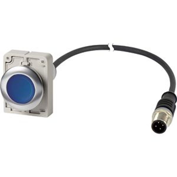 Illuminated pushbutton actuator, Flat, maintained, 1 N/O, Cable (black) with M12A plug, 4 pole, 1 m, LED Blue, Blue, Blank, 24 V AC/DC, Metal bezel image 2