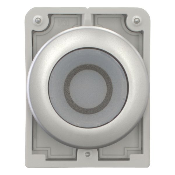 Illuminated pushbutton actuator, RMQ-Titan, Flat, momentary, White, inscribed 0, Metal bezel image 10