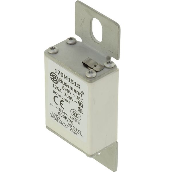 Fuse-link, high speed, 160 A, AC 690 V, size 000, 24 x 36 x 96 mm, aR, IEC image 4