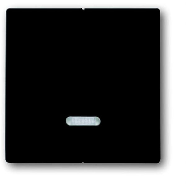 6545-81 CoverPlates (partly incl. Insert) future®, Busch-axcent®, carat®; Busch-dynasty® Anthracite image 1