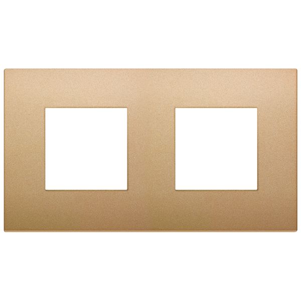 Plate 4M(2+2x71) technopolymer matt gold image 1