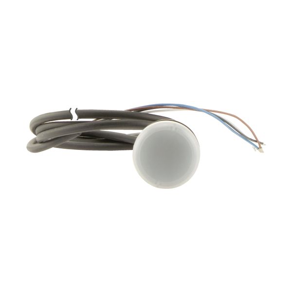 Indicator light, Flat, Cable (black) with non-terminated end, 4 pole, 1 m, Lens white, LED white, 24 V AC/DC image 8