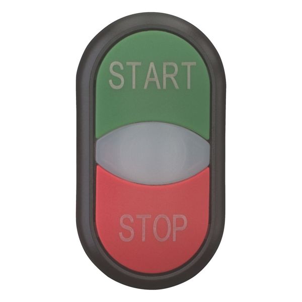 Double actuator pushbutton, RMQ-Titan, Actuators and indicator lights non-flush, momentary, White lens, green, red, inscribed, Bezel: black, START/STO image 4