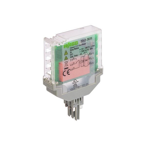Relay module Nominal input voltage: 24 … 230 V AC/DC 1 changeover cont image 3