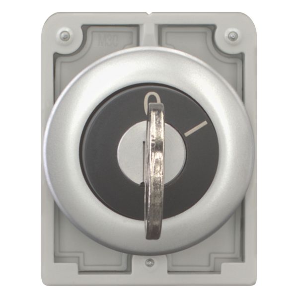 Key-operated actuator, Flat Front, maintained, 2 positions, Key withdrawable: 0, Metal bezel image 14