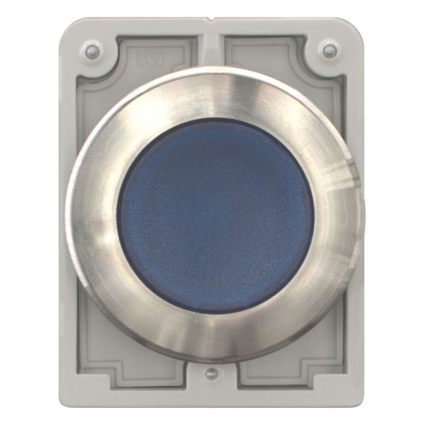 Illuminated pushbutton actuator, RMQ-Titan, flat, momentary, Blue, blank, Front ring stainless steel image 9
