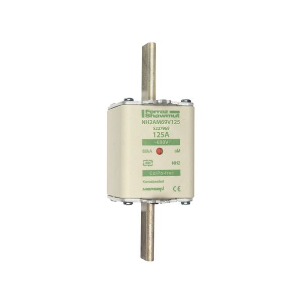 Fuse-link NH2 aM 690VAC 125A live tags Double indicator image 1