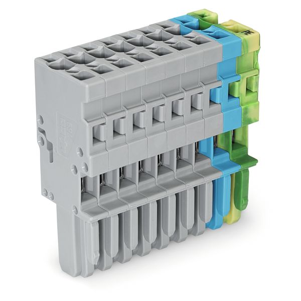 1-conductor female connector CAGE CLAMP® 4 mm² gray/blue/green-yellow image 1