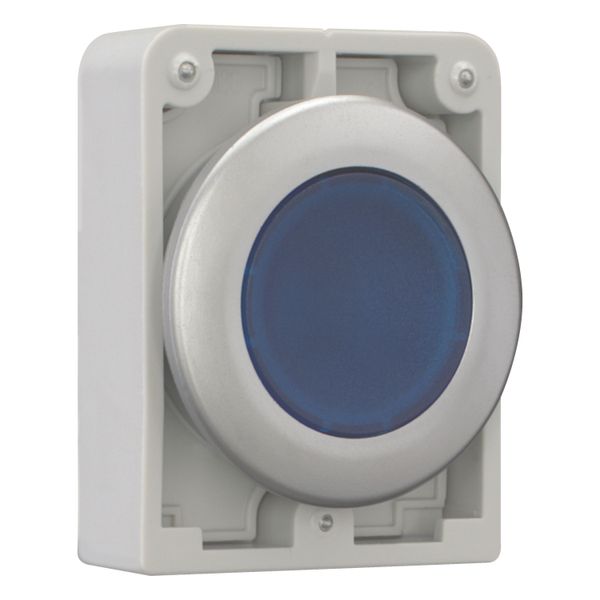 Illuminated pushbutton actuator, RMQ-Titan, Flat, maintained, Blue, Blank, Metal bezel image 7