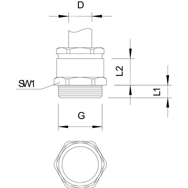 163 MS M50 Cable gland  M50 image 2