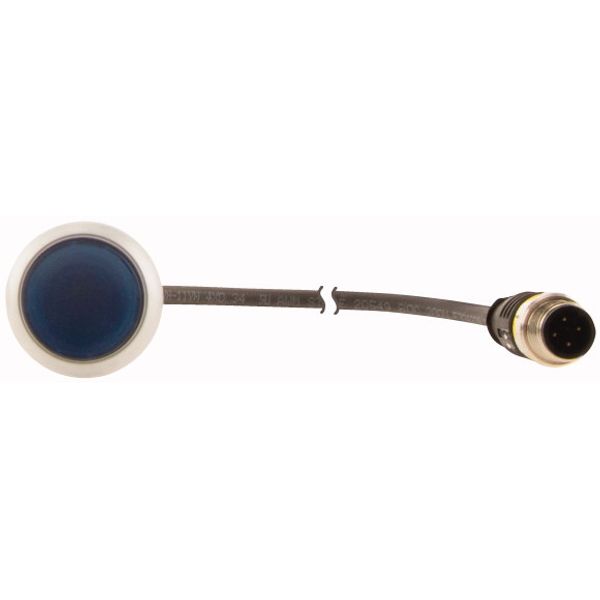 Illuminated pushbutton actuator, Flat, momentary, 1 N/O, Cable (black) with M12A plug, 4 pole, 1 m, LED Blue, Blue, Blank, 24 V AC/DC, Bezel: titanium image 2