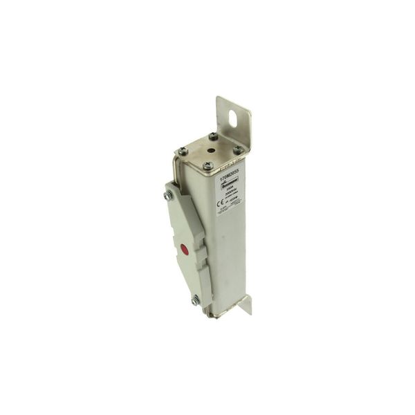 Fuse-link, high speed, 160 A, DC 2000 V, 39 x 66 x 216 mm, aR, IEC, with indicator image 7