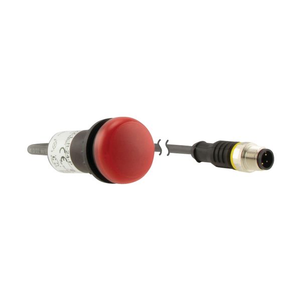 Indicator light, Flat, Cable (black) with M12A plug, 4 pole, 0.5 m, Lens Red, LED Red, 24 V AC/DC image 17