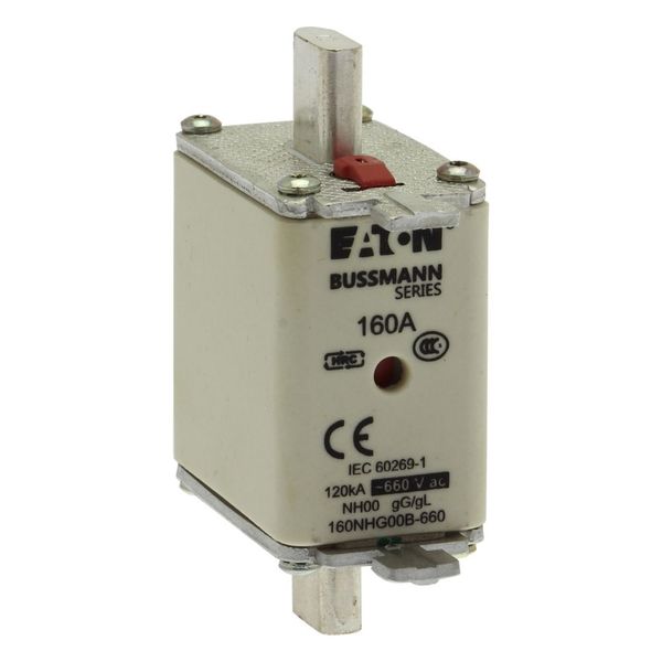 Fuse-link, LV, 160 A, AC 660 V, NH00, gL/gG, IEC, dual indicator, live gripping lugs image 15