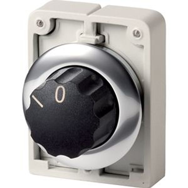 Changeover switch, RMQ-Titan, With rotary head, momentary, 2 positions, inscribed, Metal bezel image 2