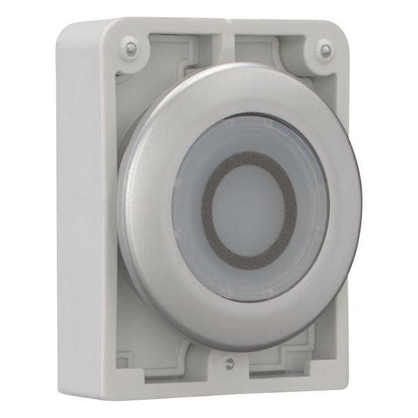 Illuminated pushbutton actuator, RMQ-Titan, Flat, maintained, White, inscribed 0, Metal bezel image 8