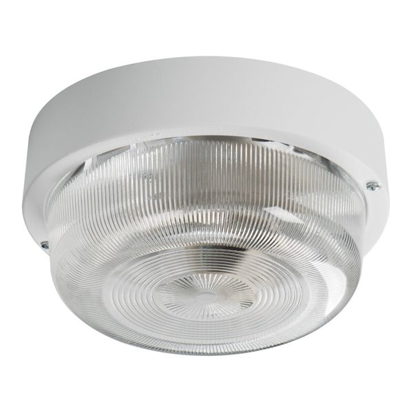 TUNA MINI N Ceiling-mounted light fitting with replaceable light source image 1